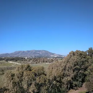 Sunny Málaga